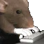 ratting