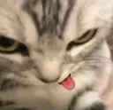 goofy4 Discord Emoji