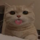 goofy5 Discord Emoji