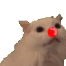 ahhclown