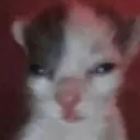 emoji_56