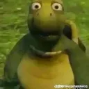 crazyturtle