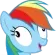 rdwut