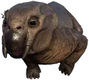 LystrosaurusIsChad