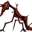 p_irae