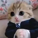 emoji_31