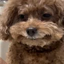 emoji_182