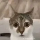 FW_errrStare