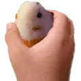 hamptergrab