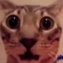 omgod