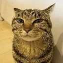 sussyamongusballs Discord Emoji