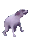 Dancingdog DancingDog Discord Emoji