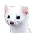 weasel weasel