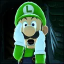 luigi2