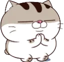 CatPray