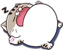 CatSleep