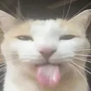 silly