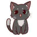 Ruru