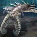 anomalocaris