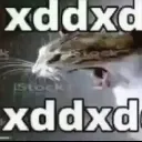 WWWAAAHAHAHH WWWAAAHAHAHH