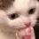 cat_think