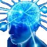 bigbrain