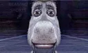 donkey donkey