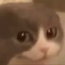 opa opa