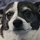 TobyBruh