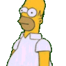 homerhide