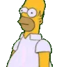 homerhide