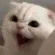RageCat