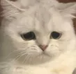 sad