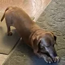 rufiStretch
