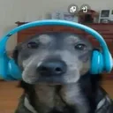 doglisteningtomusic