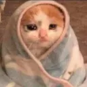 CE_CozySadBlanket2 Discord Emoji