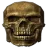 skull