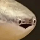 sacabamWhat