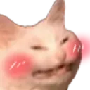 cacatblush