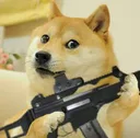 av_Doge_Gun