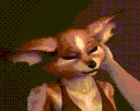 furryrub furryrub