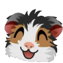yay