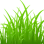 grass