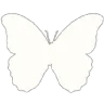 TT_butterflywhite