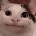 MCFA_Dedo