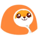 cozyfoz