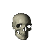 skullspin