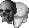 skullbear