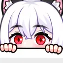 KuroPeek