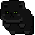 blackcatspin